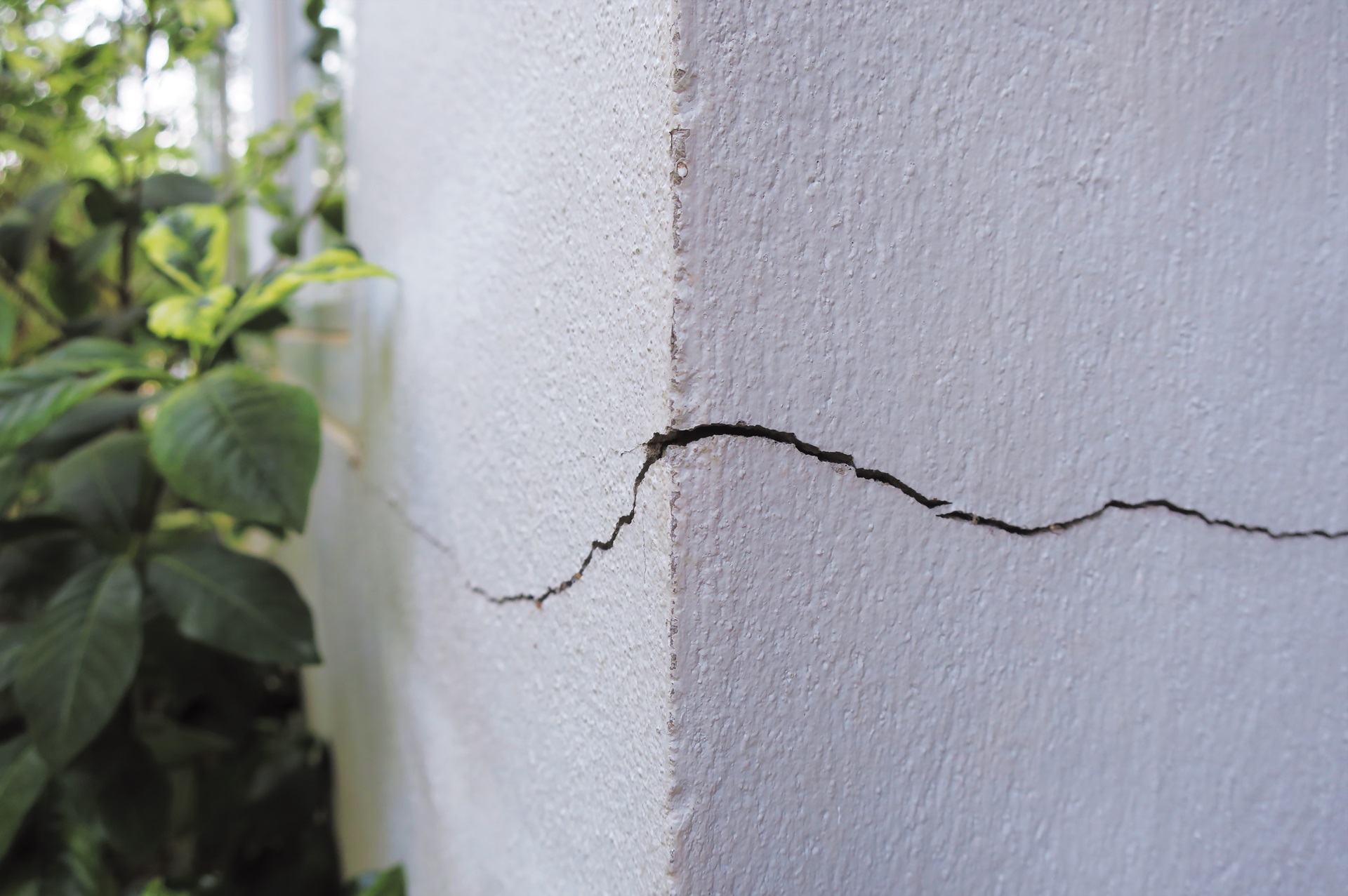 Top 5 Signs Your Home Needs Structural Repairs